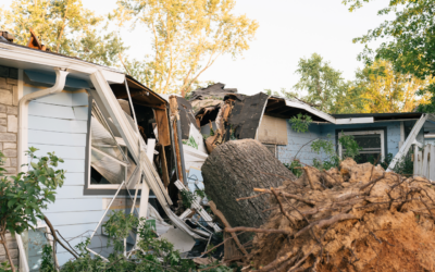 Benton County Tornado Response Update